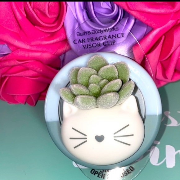 KITTY SUCCULENT VISOR CLIP
